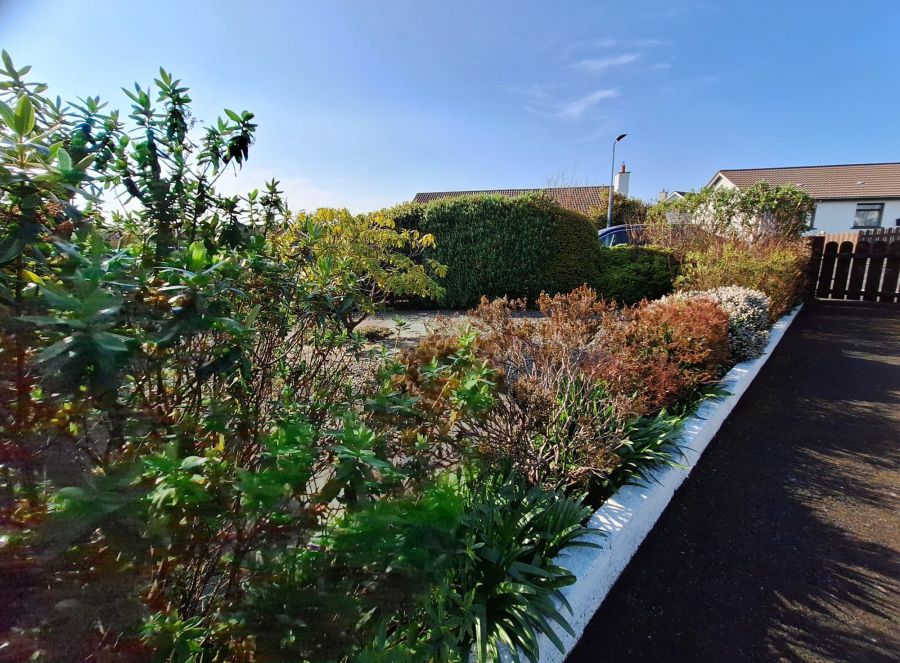 6 Moyle Park