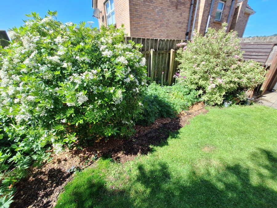 16 Knowehead Hill
