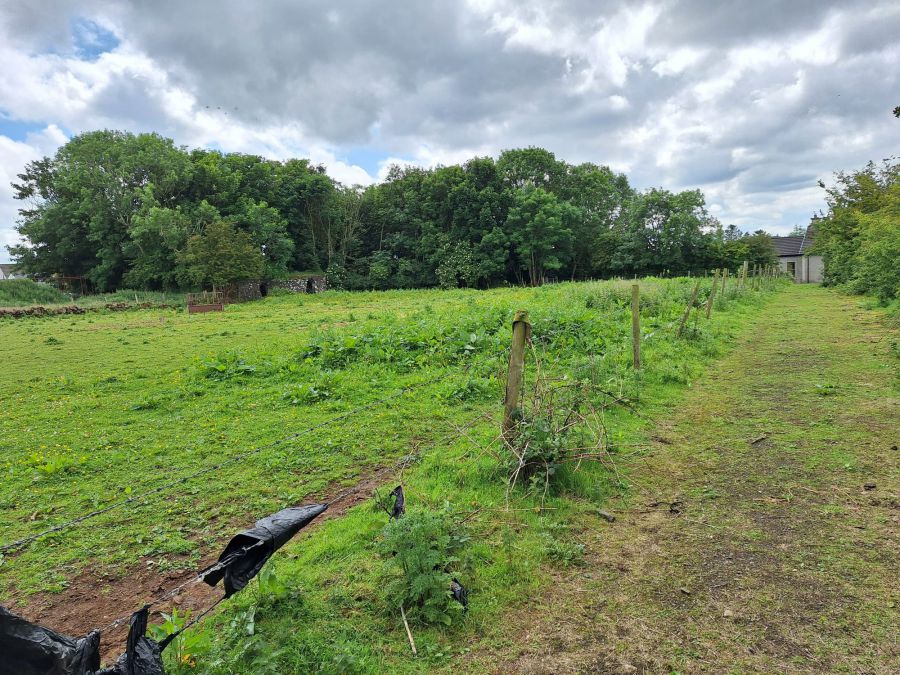 Site Approx. 30m East Of 45 Friary Road