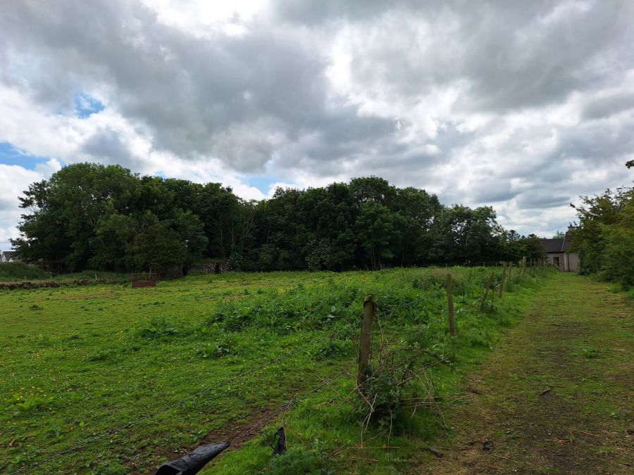Site Approx. 30m East Of 45 Friary Road