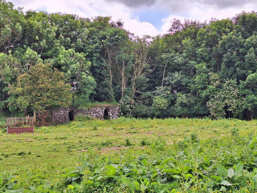 Site Approx. 30m East Of 45 Friary Road