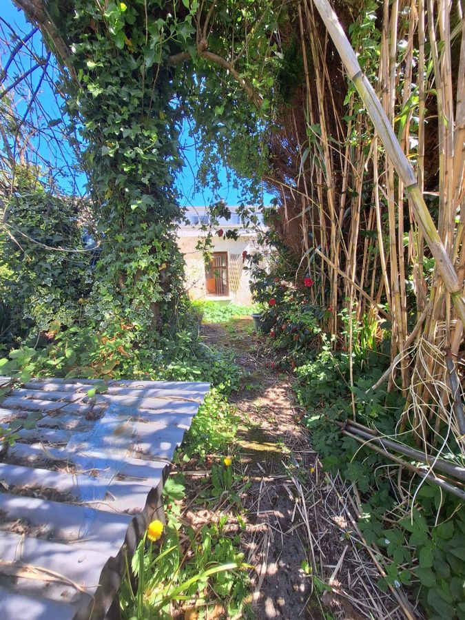 3 Alanvale Park