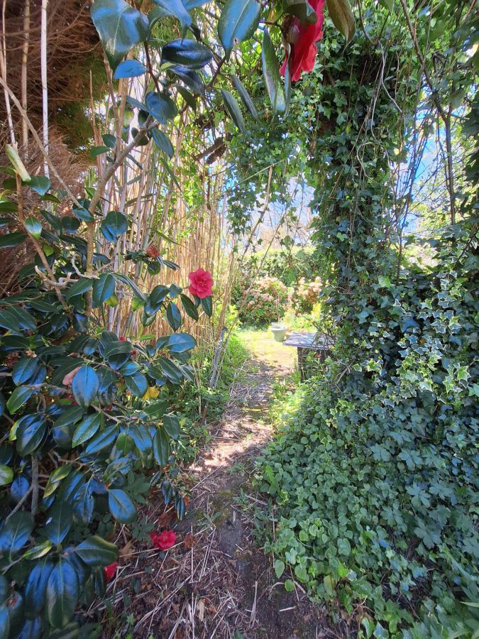 3 Alanvale Park