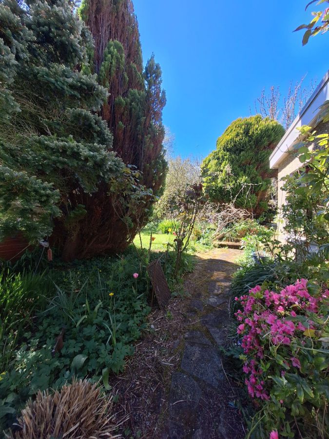 3 Alanvale Park