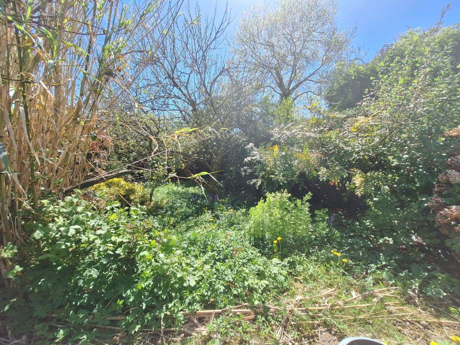 3 Alanvale Park