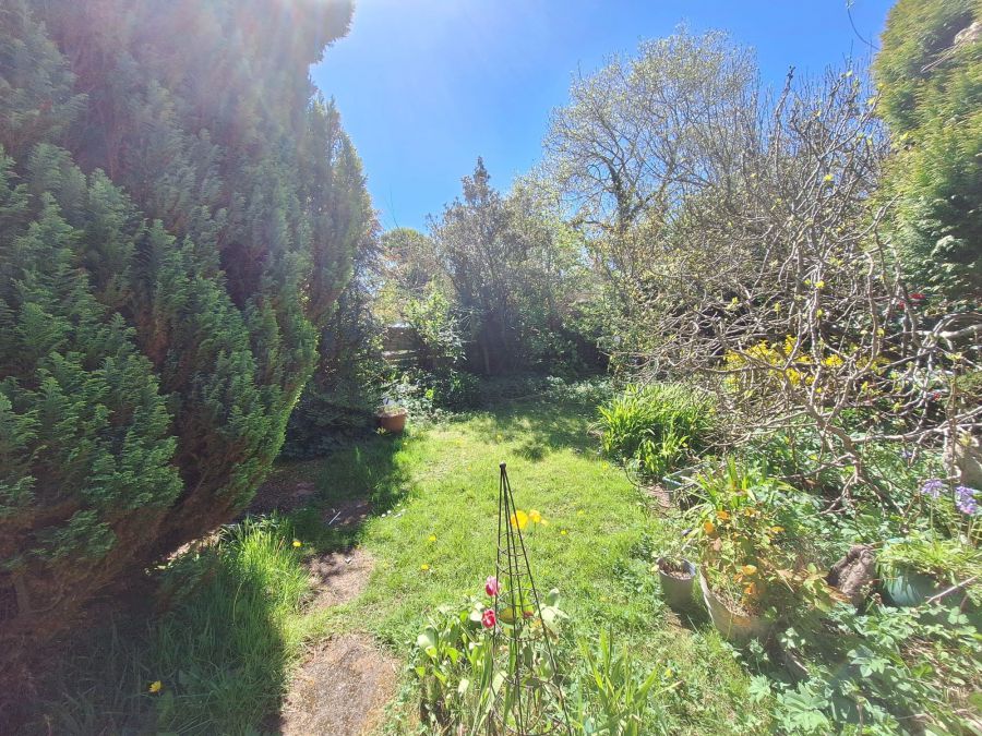 3 Alanvale Park