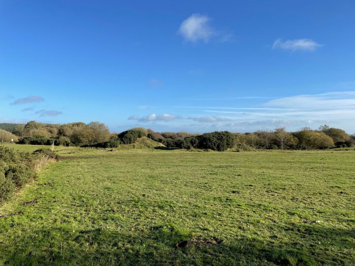 Field (4) Boleran Road