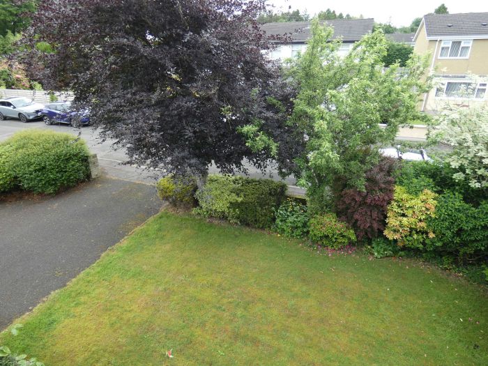 19 The Meadows 19 The Meadows