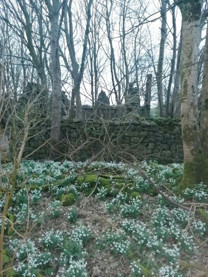 Site Approx. 45M Nw Of 74 Pharis Road Site Approx. 45M Nw Of 74 Pharis Road