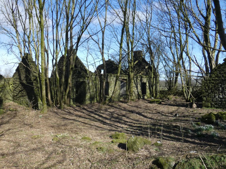 Site Approx. 45m Nw Of 74 Pharis Road