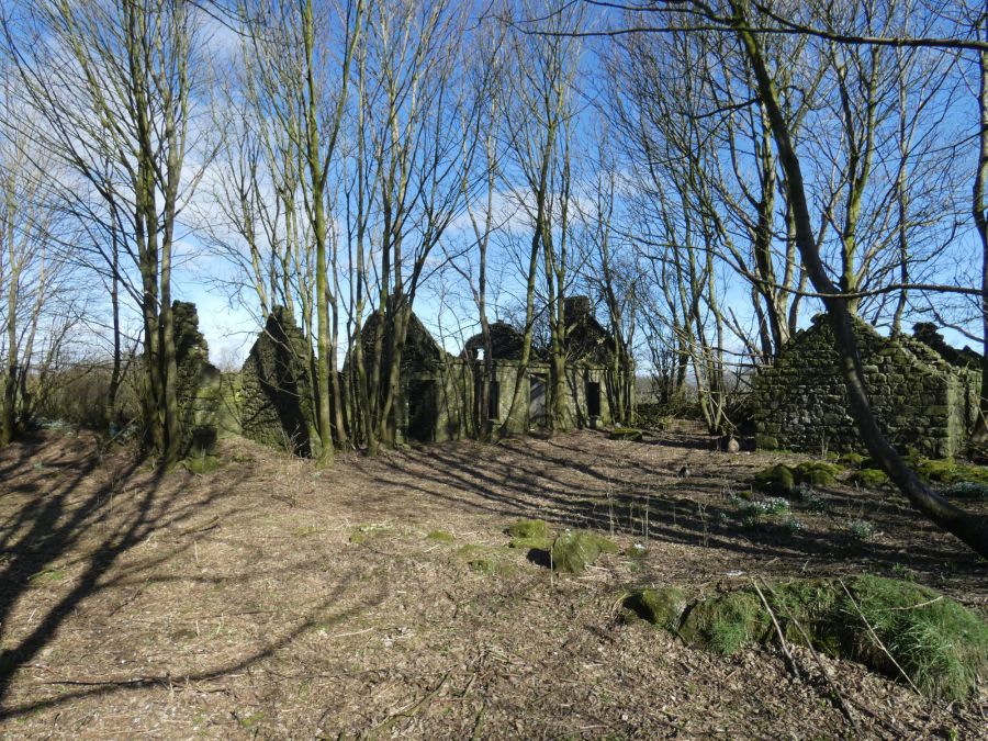 Site Approx. 45M Nw Of 74 Pharis Road Site Approx. 45M Nw Of 74 Pharis Road