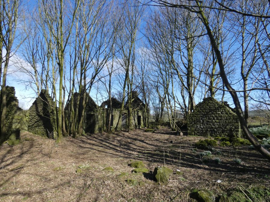 Site Approx. 45M Nw Of 74 Pharis Road Site Approx. 45M Nw Of 74 Pharis Road