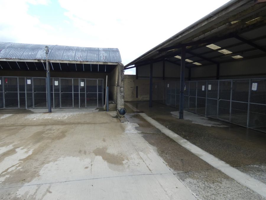 92 Garryduff Road