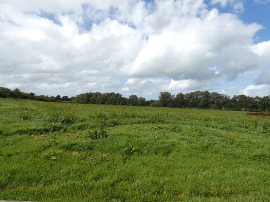 92 Garryduff Road