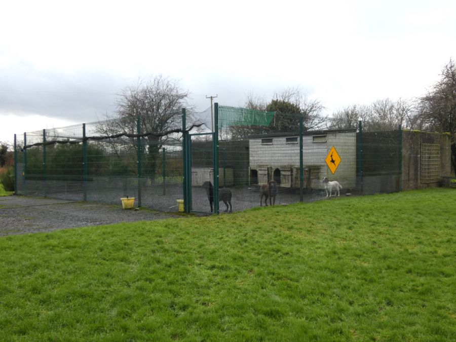 59 Drumeil Road
