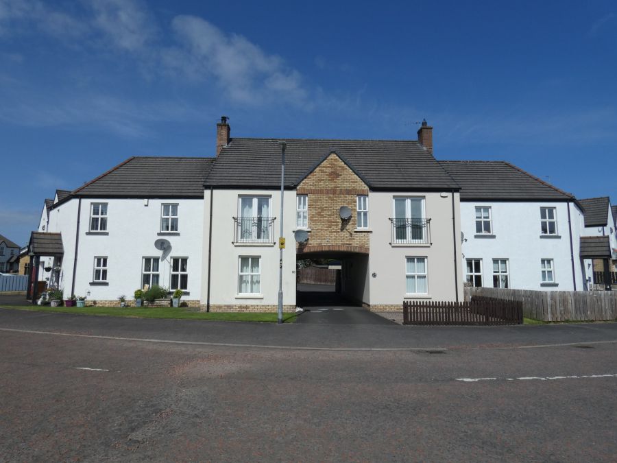 50 Millfields