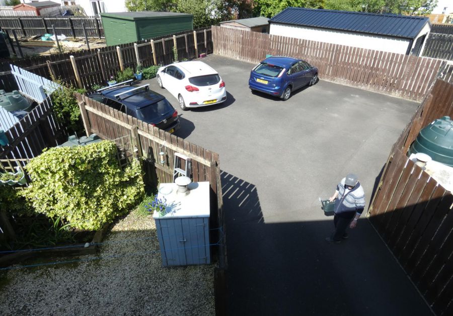 50 Millfields