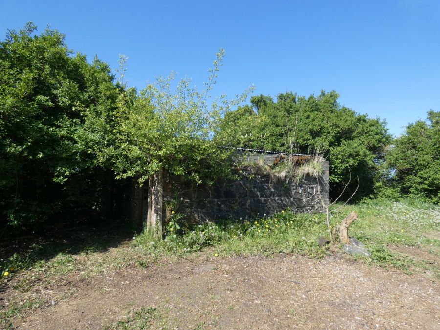 80 Boyland Road