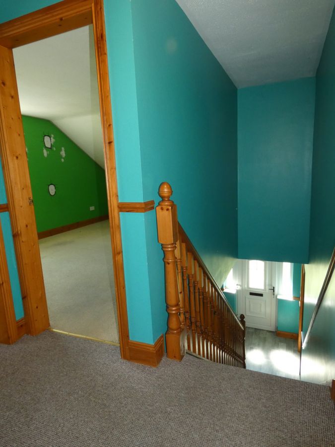 8 Springfields
