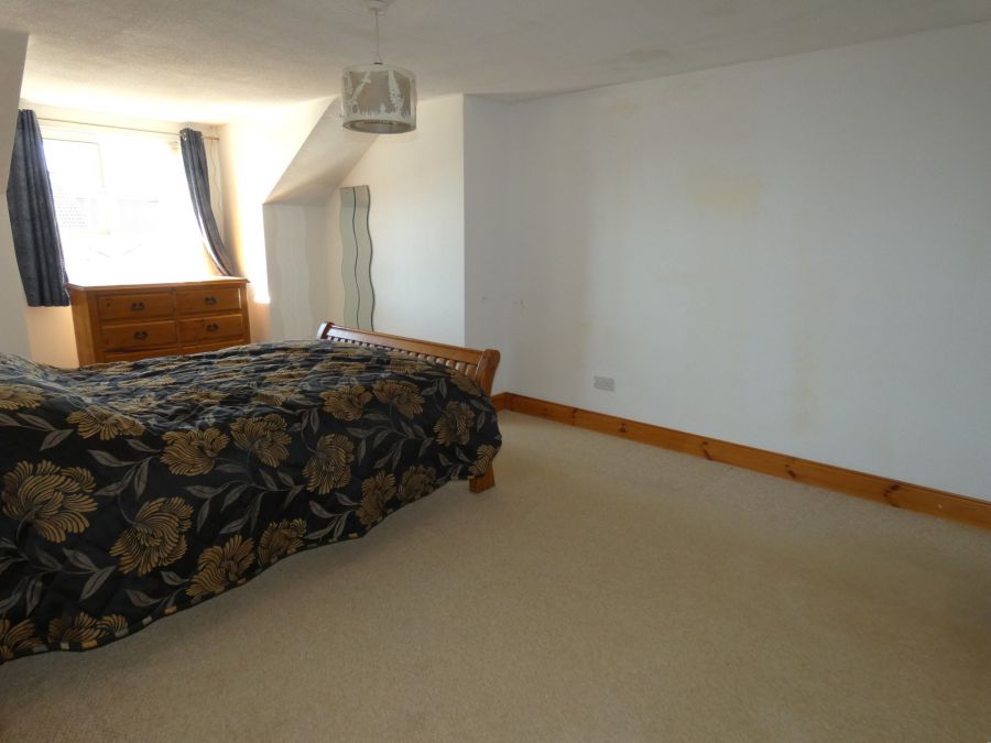 8 Springfields