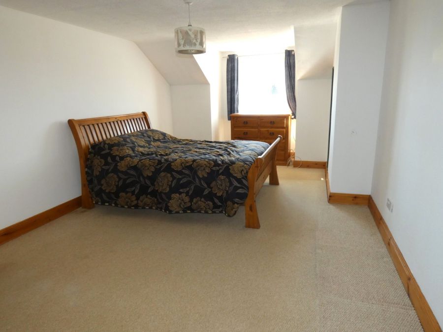 8 Springfields