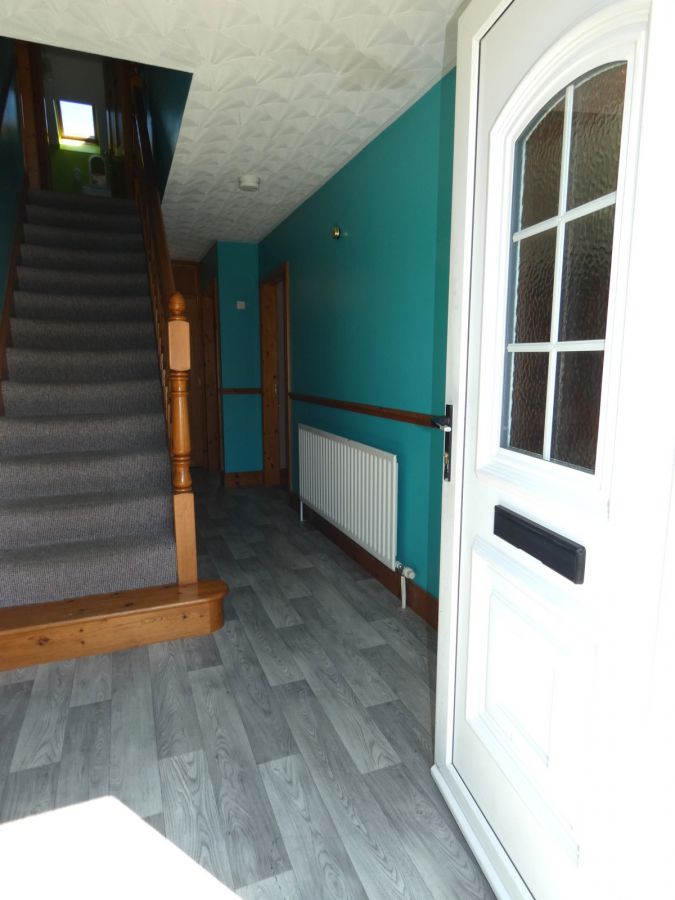 8 Springfields