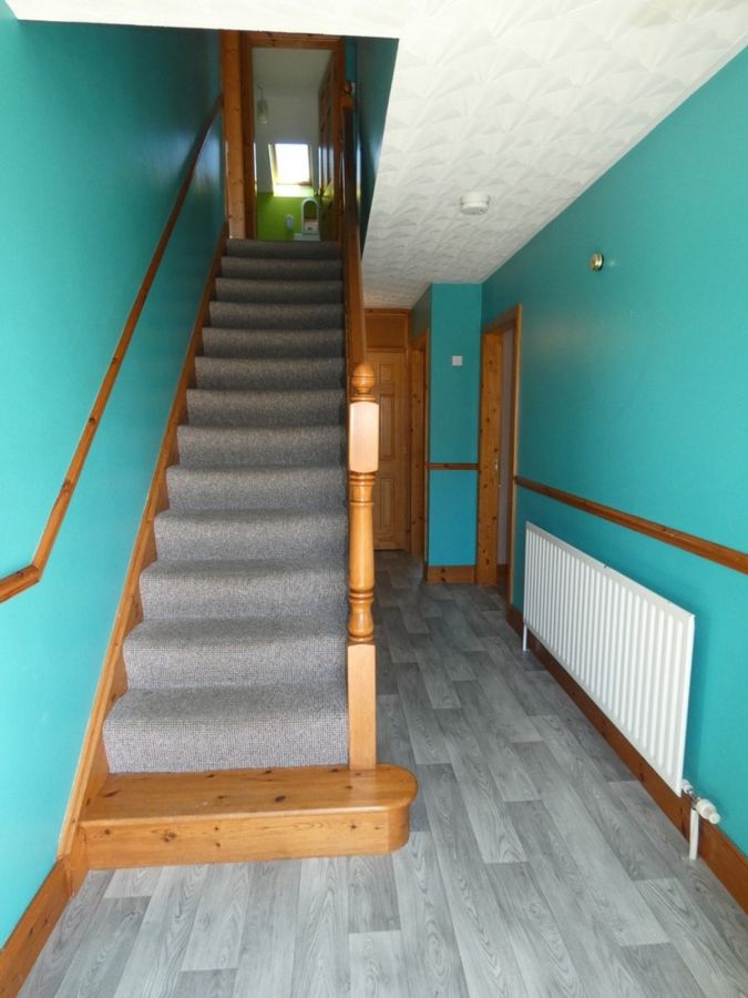 8 Springfields