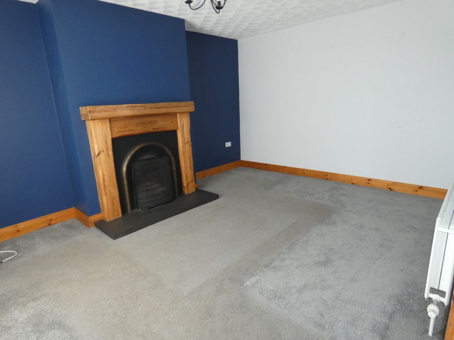 8 Springfields