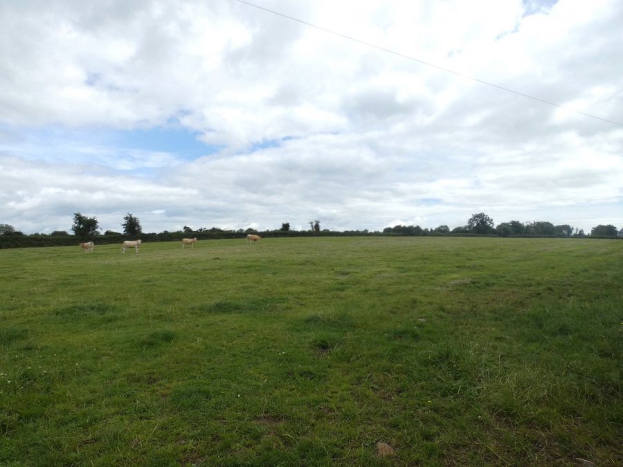 Circa 33 Acres of Land at, 77 Vow Road