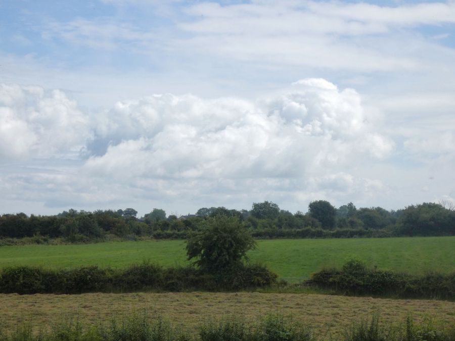 Circa 33 Acres of Land at, 77 Vow Road