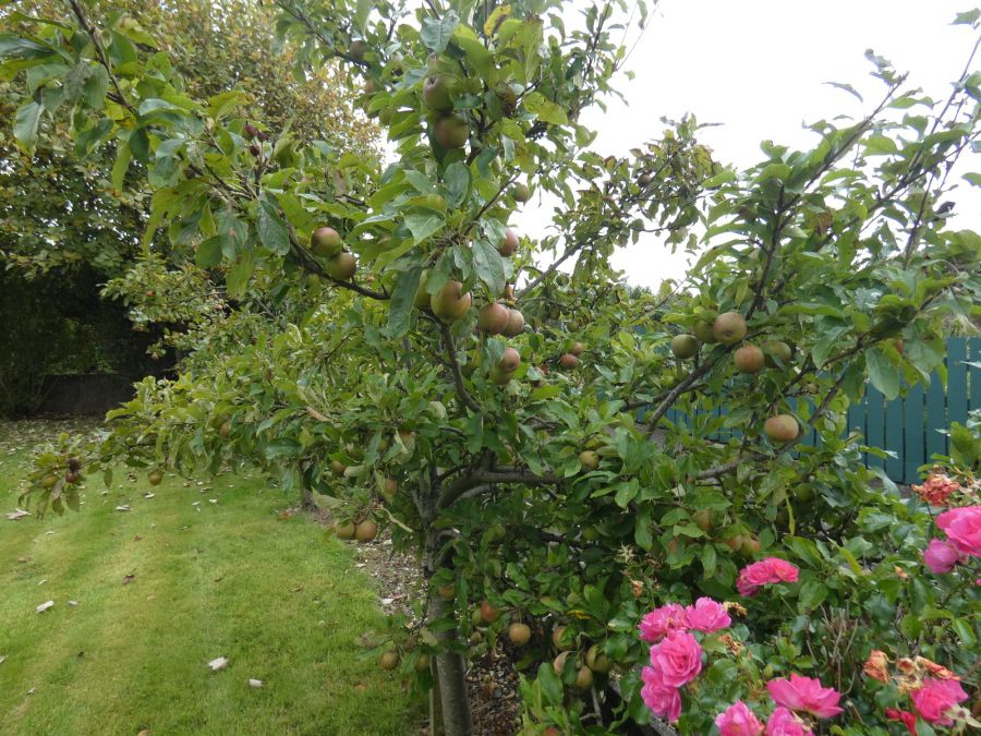 140 Tullaghans Road