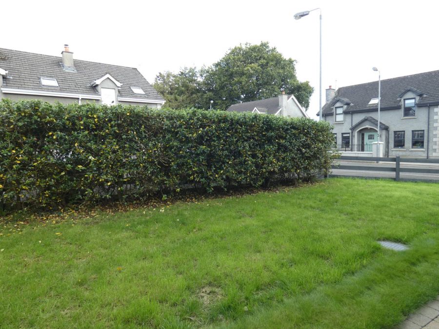 9 Loughview Park