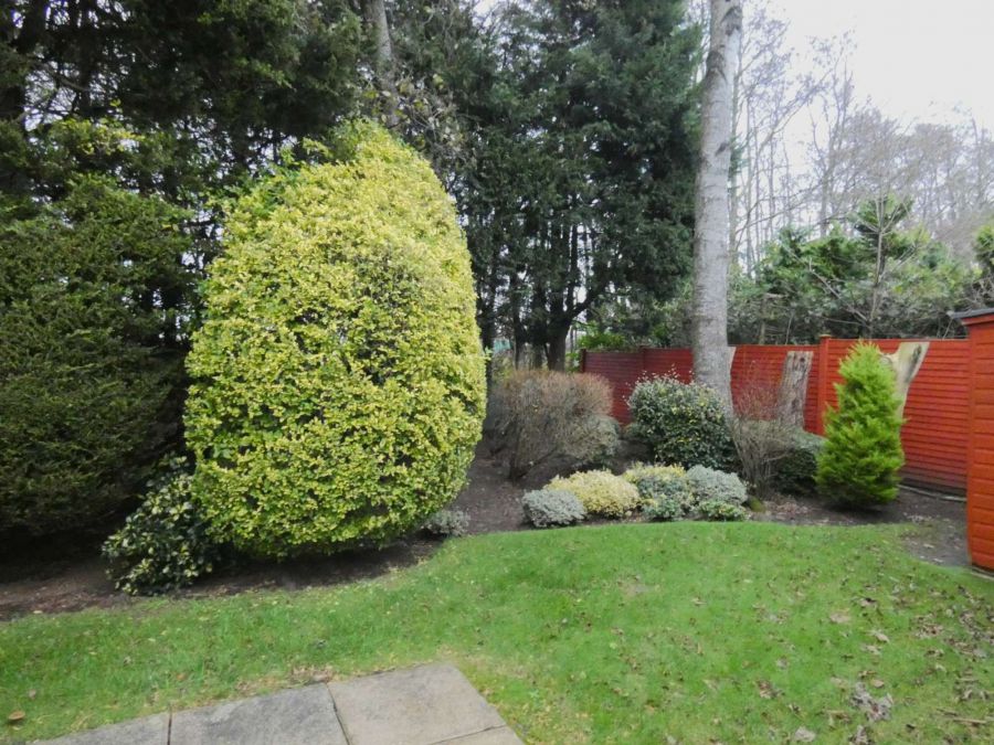 Drumabest, 60 Semicock Road