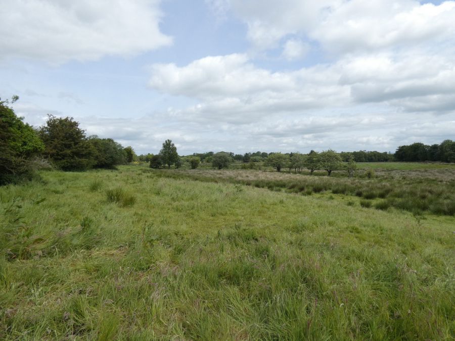 Lands East of, 25 Gortmacrane