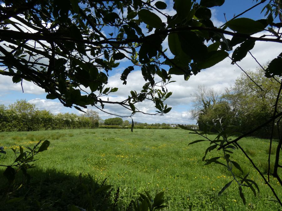 The Thatch, 75 Garryduff Road