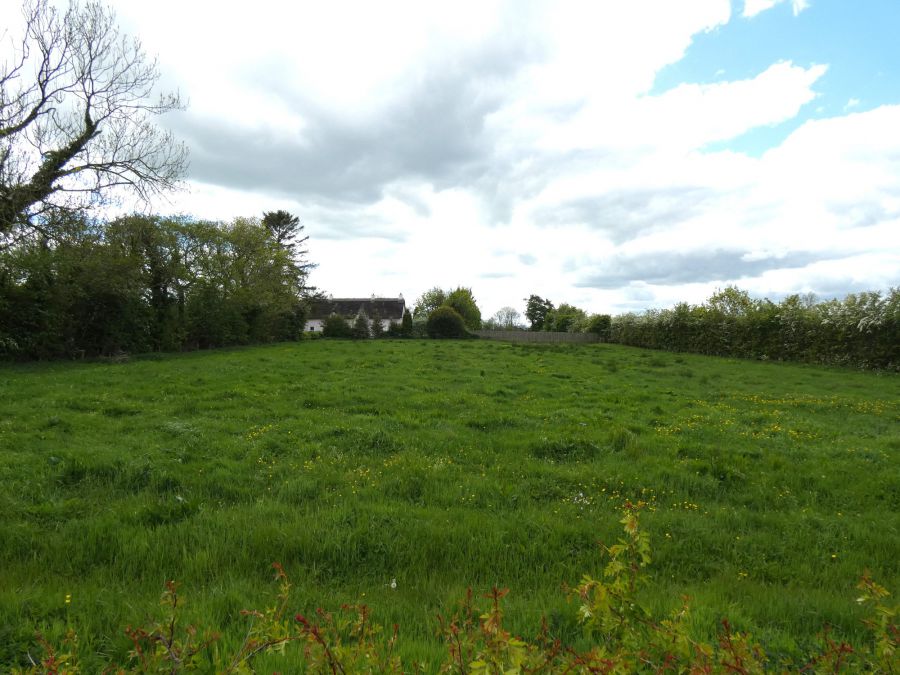 The Thatch, 75 Garryduff Road