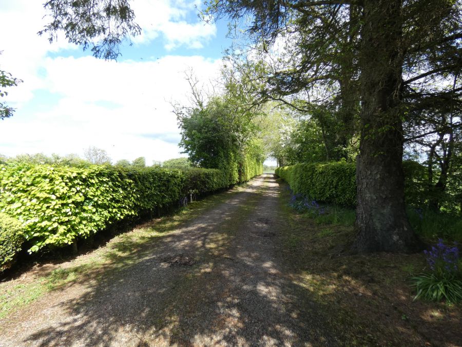 The Thatch, 75 Garryduff Road
