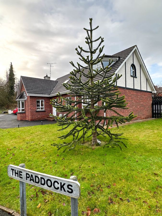 2 The Paddocks