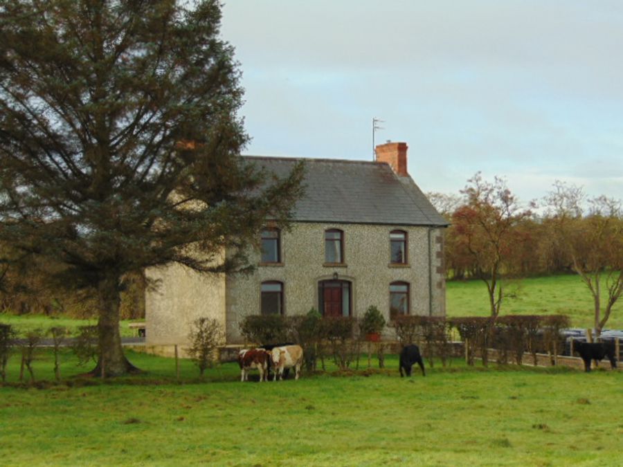 89 Frosses Road