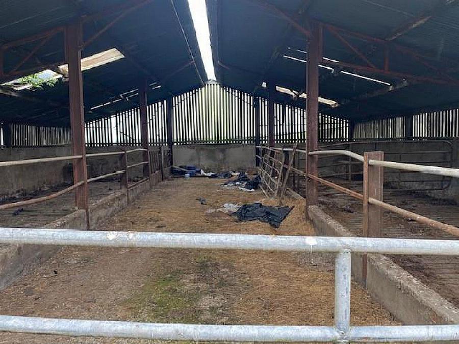 Yard At Oughtagh Road, Killaloo