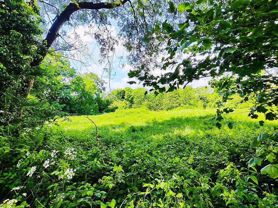 Building Site At 16 Gortahar Lane
