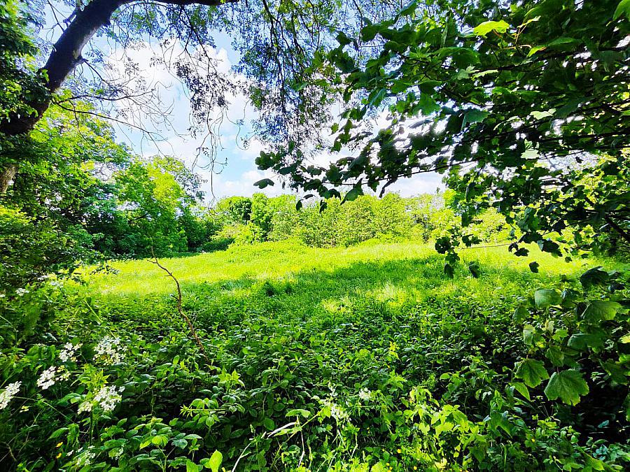 Building Site At 16 Gortahar Lane