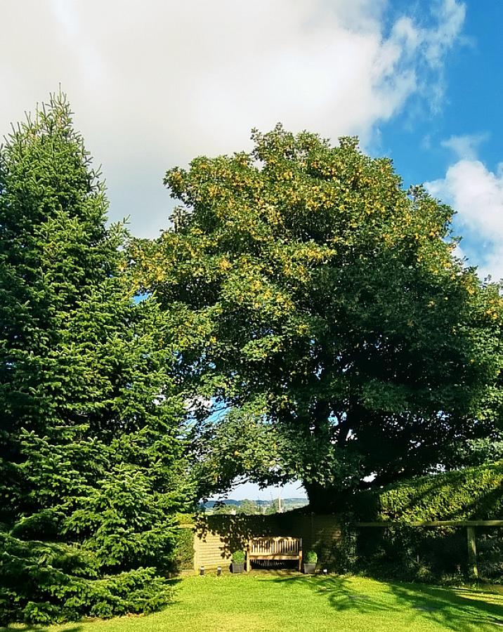 77 Lisboy Road