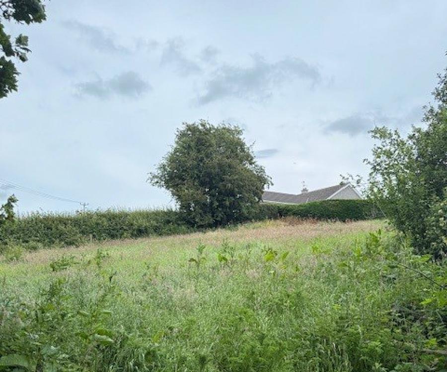 Replacement Building Site Situated At 20 Drum Road