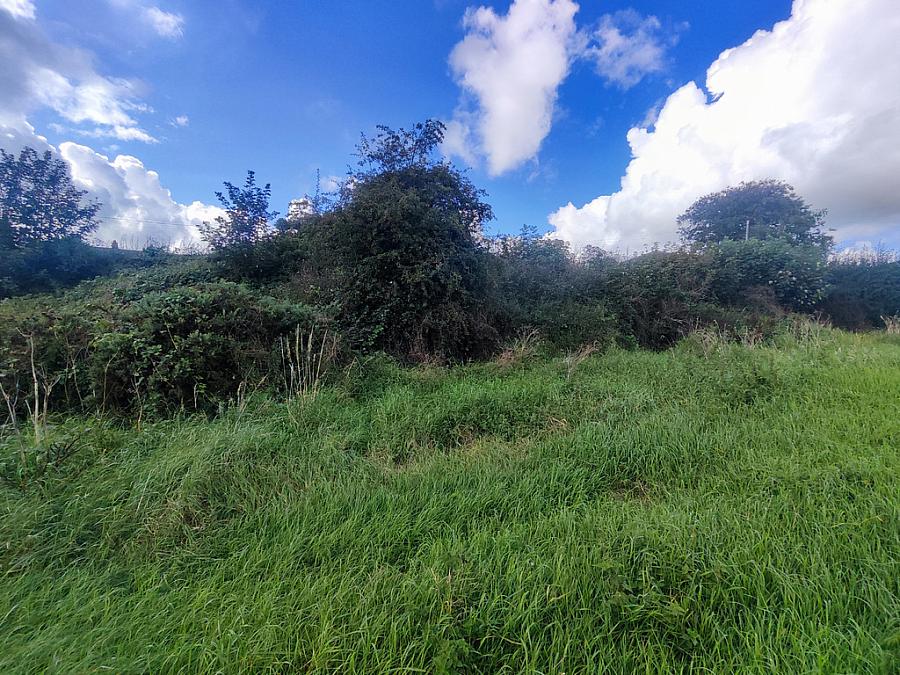 50M Ne Of 92 Moneybrannon Road