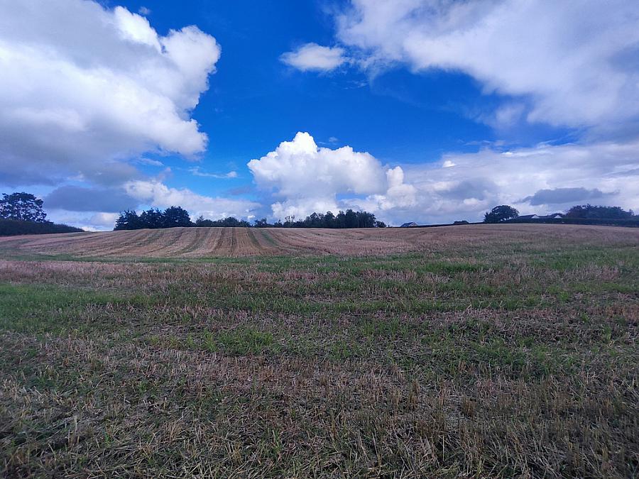 50M Ne Of 92 Moneybrannon Road