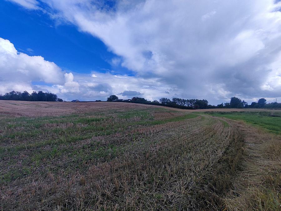 50M Ne Of 92 Moneybrannon Road