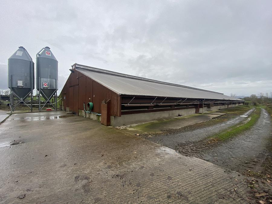 Small Holding Adjacent To 212 Castlecatt Road Dervock