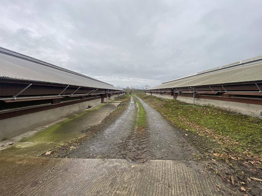 Small Holding Adjacent To 212 Castlecatt Road Dervock