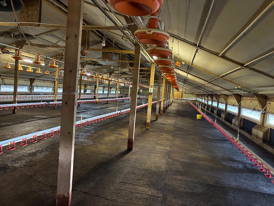 Small Holding Adjacent To 212 Castlecatt Road Dervock